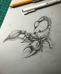 Dessin Dessin D Animal Carnet De Dessin Dessin De Tortue