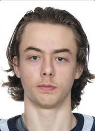 Valleyfield Braves (QJAAAHL) Player Register at hockeydb.com