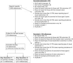 figure 1 literature flow chart visual dysfunction in