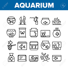 ピクト アクアリウム