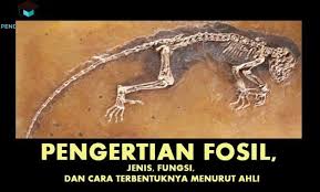 Therefore, i needed my raincoat. Fosil Adalah Pengertian Jenis Fungsi Cara Dan Penemuan