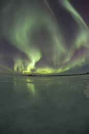 Alaska Cruises To See The Northern Lights See The Northern Lights Alaska Cruise Alaska Travel