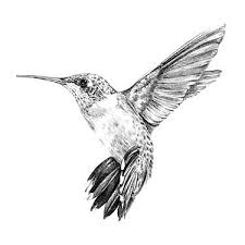Humming bird tattoo design ideas and meaning. Black And White Meaningful Hummingbird Tattoo