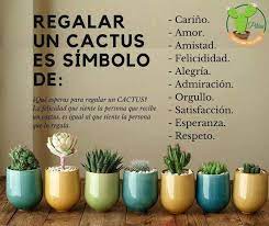 Entonces, si alguien te da esta planta, significa que te ama y se. Cactus Y Suculentas Posts Facebook