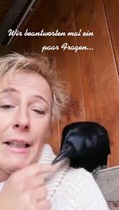 #Herman #Hermanandfriends #love #crow #viralvideo