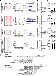 Oncotarget Histone Modification Alteration Coordinated