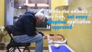 Especially when she is sitting inside a christmas stocking while wearing a santa hat. Knoxville Animal Center Offers Free Cat And Dog Adoptions Through Dec 31