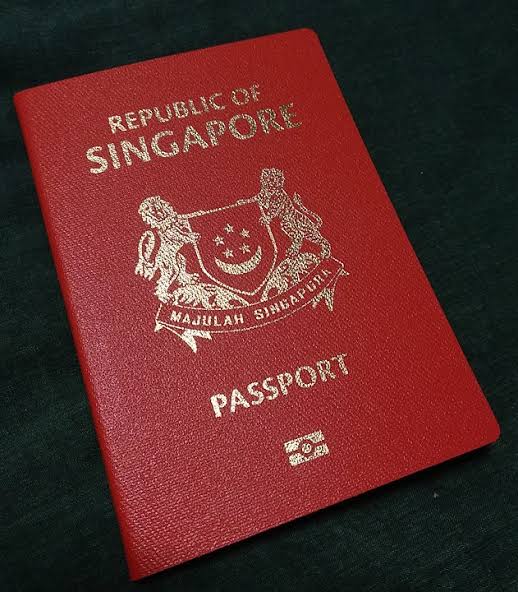 Singapore Passport Status Check | SPIC| Singapore Professional Immigration Consultancy