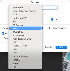 Best Image Format For The Web Jpeg Vs Png Vs Gif