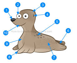 How To Draw A Cute Baby Seal Check out inspiring examples of sketch artwork on deviantart, and get inspired by our community of talented artists. how to draw a cute baby seal