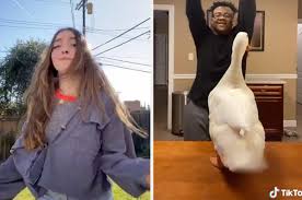 If you spend any time on tiktok, you may notice that so many posts contain funny sound filters. The Most Viral Tiktok Songs Of 2020 So Far