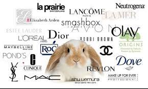 Sadly, they test on animals. These Beauty Brands Are Still Tested On Animals Myrepublica The New York Times Partner Latest News Of Nepal In English Latest News Articles