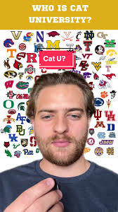 Who is Cat u? #cfbudge #cfb #cats #greenscreen