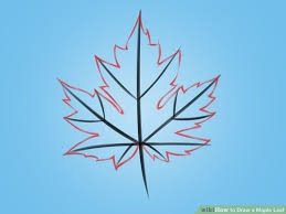 In this video i draw the country of canada for you to follow along and learn to draw. How To Draw A Maple Leaf Maple Leaf Drawing Leaf Drawing Leaf Drawing Easy