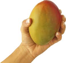 Mango With Hand Png Image