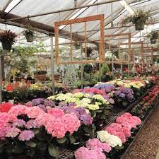The city proper has a population. Cactus Tropicals 98 Photos 78 Reviews Nurseries Gardening 2735 S 2000th E Salt Lake City Ut Phone Number Yelp