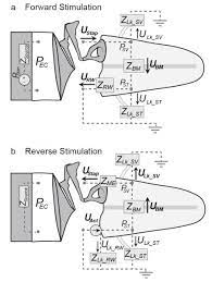 This reverse dictionary allows you to search for words by their definition. Comparison Of Forward Ear Canal And Reverse Round Window Sound Stimulation Of The Cochlea Abstract Europe Pmc