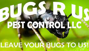 Bugs 'r' us pest control inc provides licensed exterminators to nyc and long island for all of your pest control needs. Bugs R Us Pest Control Llc Home Facebook