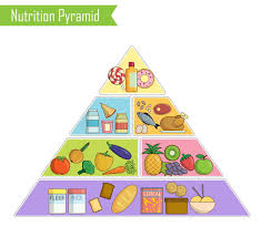 isolated infographic chart of a healthy balanced nutrition