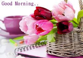 A Conversation About Nothing In Particular Page 166 Christian Chat Rooms Forums Beautiful Flowers Images Beautiful Flowers Wallpapers Flower Wallpaper