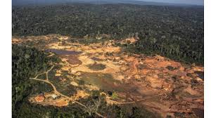 STF autoriza mineração sob controle indígena na Reserva Roosevelt em RO e no MT