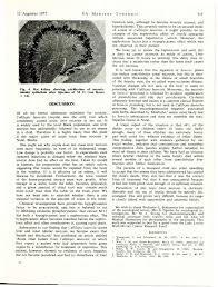 Image result for Callilepis laureola