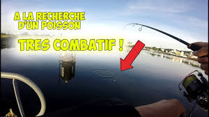 Peche Du Mulet A La Cuillere Sensations Garanties Youtube