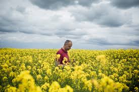 Starch obtained from genetically modified plants will be more difficult to digest. Doubts About The Promised Bounty Of Genetically Modified Crops The New York Times