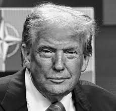 Justices Curb Power of Courts