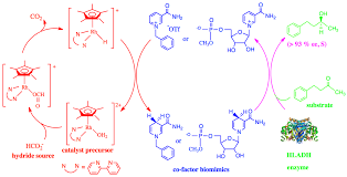 Catalysts Free Full Text 1 4 Nadh Biomimetic Co Factors With Horse Liver Alcohol Dehydrogenase Hladh Utilizing Cp Rh Bpy H Otf For Co Factor Regeneration Do In Fact Produce Chiral Alcohols From Reactions With Achiral Ketones Html