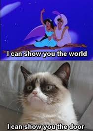 Cat avatar suit for every character to describe the moment. Best Of Funniest Grumpy Cat Memes