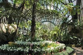 San Diego Botanical Gardens Beautiful Gardens Botanical Building Garden Structures