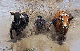 We do not have this sport yet. Sport In Indonesia