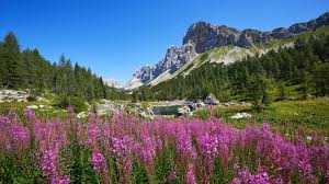 Италию и австрию обслужит бригада арбитров из англии во главе с энтони тейлором. Hiking On The Footsteps Of The Alpe Adria Trail Funactive Tours