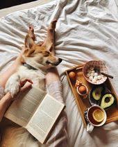 Pin By Corgilover On All Thing Corgi Cozy Aesthetic Comfy Cozy Puppy Love