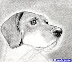 Resultado de imagen para imagenes de dibujos dificiles