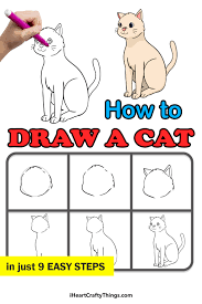 Dec 29, 2020 · how to draw a realistic cat: Cat Drawing How To Draw A Cat Step By Step