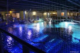 A Day At The Newport Aquarium With Kids Inacents Com
