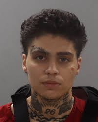 Vehicular Homicide Case in Knox County, Tennessee