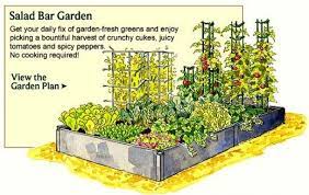 Vegetable Garden Planner Layout Design Plans For Small Home Gardens Vegetable Garden Planner Salad Garden Layout Garden Planner