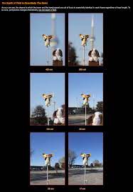 Myth And Reality Longer Focal Length Lenses Give More Shallow Depth Of Field Than Shorter Focal Length Lenses Camera Hacks Depth Of Field Take Better Photos