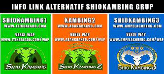 Dapatkan harga kambing termurah di halaman jual kambing agromaret. Marisa Tan Marisatan0000 Profile Pinterest