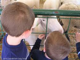 Our dedicated team of experts provide exceptional, compassionate care to the more than 1,800 animals that call our park home. Petting Zoo Was Source Of Nc E Coli Outbreak Officials Determine