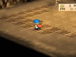 Setelah mendapatkan ke 6 ikan legendaris, greg akan berkunjung kerumah mu dan mengatakan. Cara Dapat 11 Power Berry Di Harvest Moon Back To Nature Punyahp Net