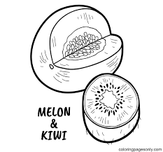 Comes and download the fresh kiwi fruit colouring pages. Kiwi And Melon Coloring Pages Tropical Fruits Coloring Pages Coloring Pages For Kids And Adults