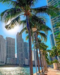 Happy Sunday What A Beautiful Day Today In Miami Who Else Is Enjoying Life Outdoors Lately I Have Visite Brickell Miami What A Beautiful Day Brickell