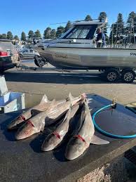 The South West Fishing Report