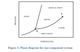 At equilibrium, with both the forward and reverse reactions taking place at the same rate, the every reaction has a point in which equilibrium is established. Phase Equilibrium Wattco