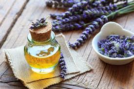 Lavendelöl sorgt für ruhigen schlaf, pflegt die haut und hilft gegen schmerzen: Lavendel Anwendung Rezepte Heilpflanze Heilpraxis
