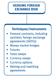 Chapter 13 Hedging Foreign Exchange Risk